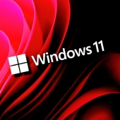 Windows 11