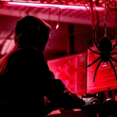 Hacker spider