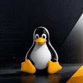 Linux Tux