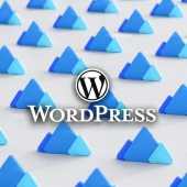 WordPress Everest
