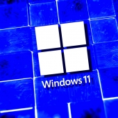 Windows 11