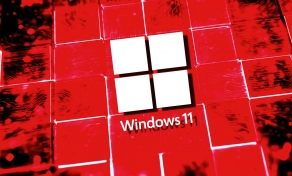Windows 11