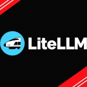 LiteLLM