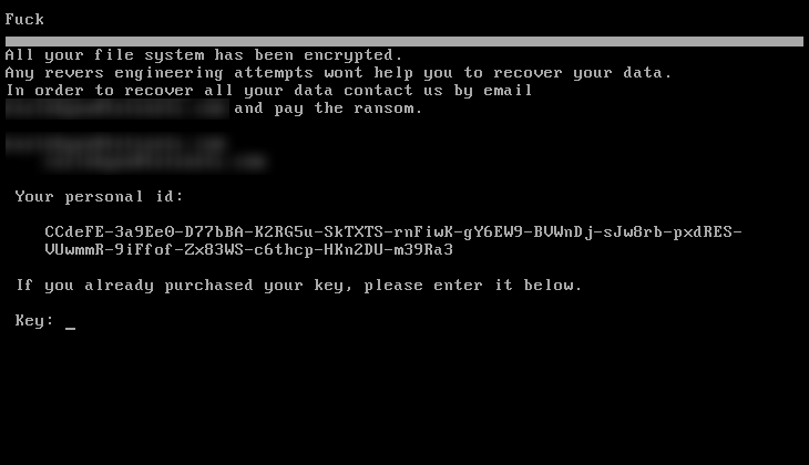 PetrWrap ransom screen
