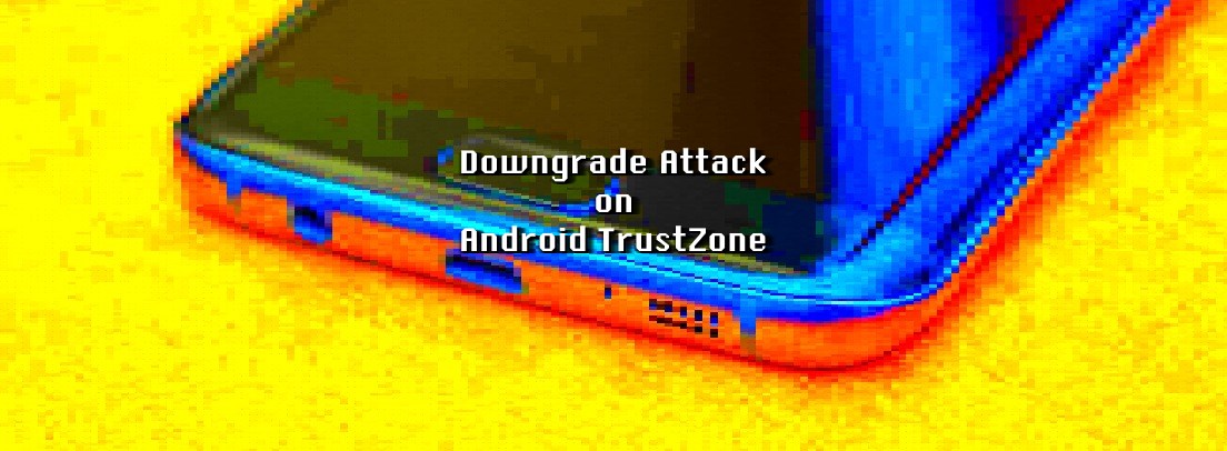 TrustZone downgrade attack