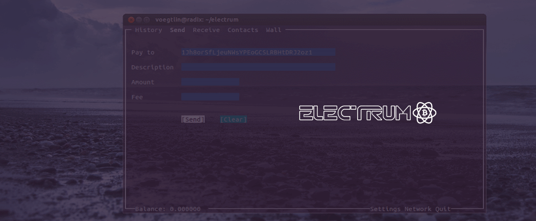 How to hack bitcoins wallet How to hack bitcoins wallet