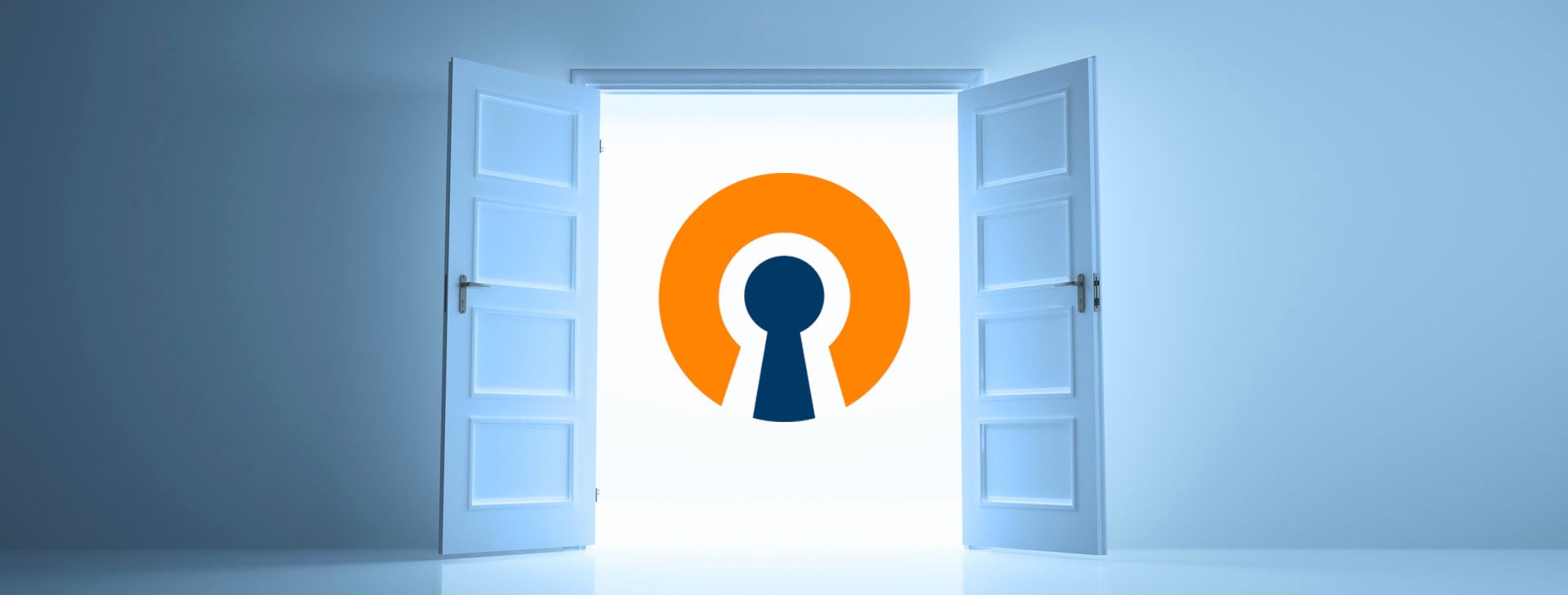 Downloading 3rd Party OpenVPN Configs May Be Dangerous. Here's Why., image size:1920x729