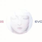 Princess Evolution Ransomware is a RaaS With a Slick Payment Site