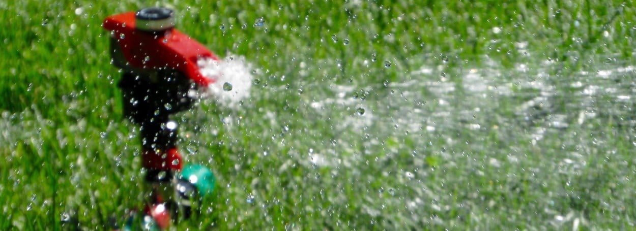 Water sprinkler