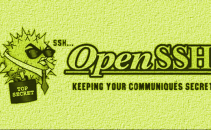 OpenSSH Versions Since 2011 Vulnerable to Oracle Attack Image
