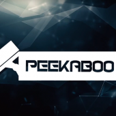 Critical RCE Peekaboo Bug in NVR Surveillance System, PoC Available Image