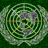 United Nations WordPress Site Exposes Thousands of Resumes Image