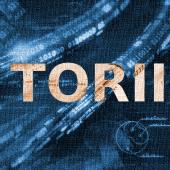 New Iot Botnet Torii Uses Six Methods for Persistence, Has No Clear Purpose