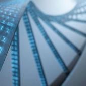 DNA Testing Kits & The Security Risks in Digitized DNA Image