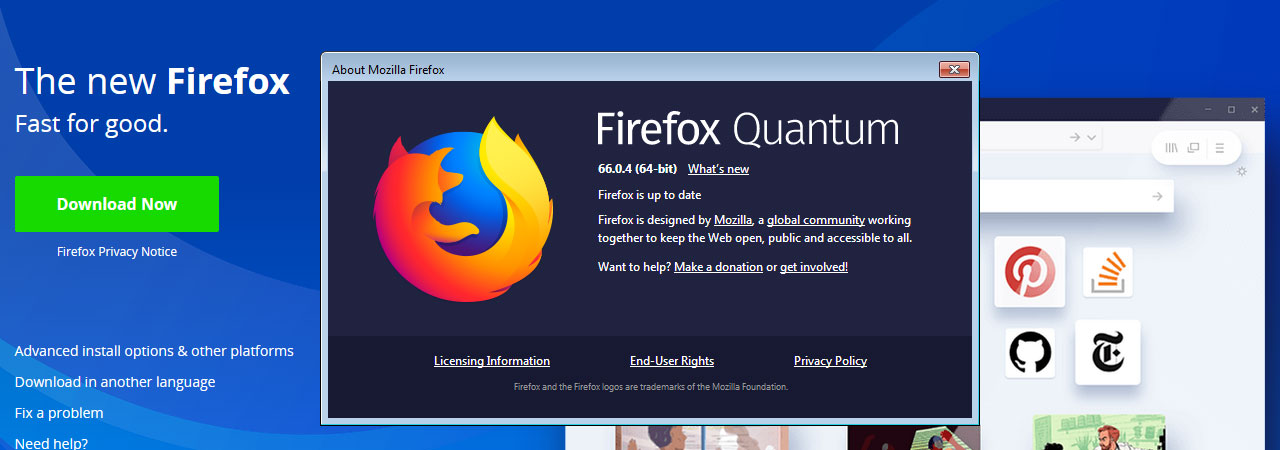 Mozilla Firefox Browsing History - Advanced Uninstaller PRO