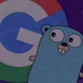 Get 97% off The Complete Google Go Developer Master Class Bundle Deal