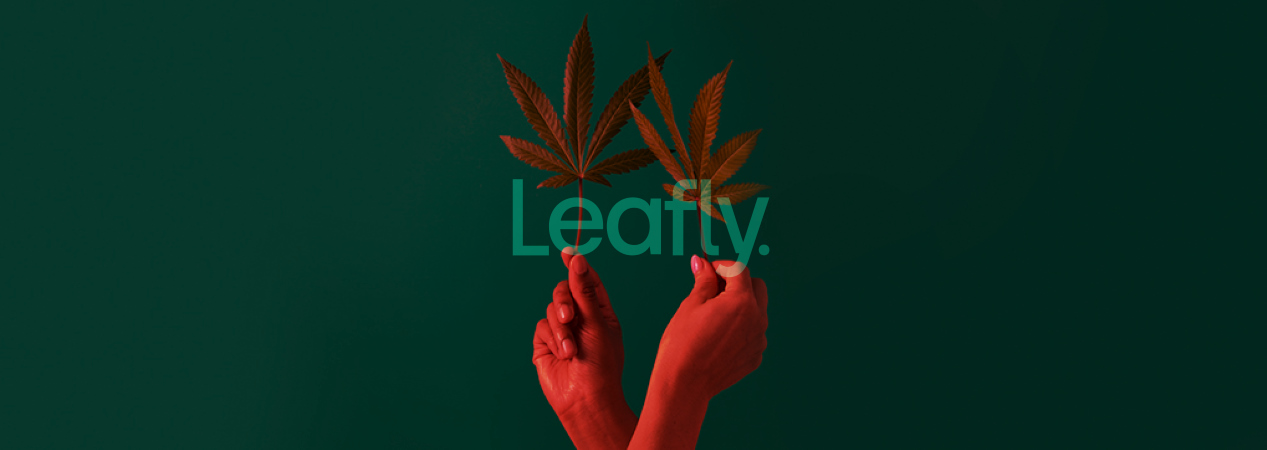 Leafly Cannabis Website Leaked User Info via Exposed Database