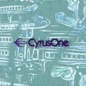 U.S. Data Center Provider Hit by Ransomware Attack