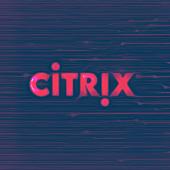 Dutch Govt Suggests Turning Off Citrix ADC Devices, Mitigations May Fail