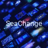 Leading US video delivery provider confirms ransomware attack