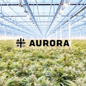 Hacker sells Aurora Cannabis files stolen in Christmas cyberattack