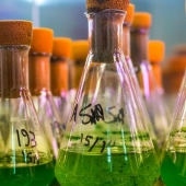 Leading cosmetics group Pierre Fabre hit with $25 million ransomware attack