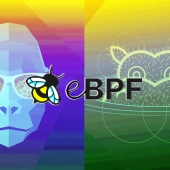 Linux eBPF bug gets root privileges on Ubuntu - Exploit released