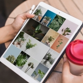 Backup all your photos for under $280 with this plug-and-play device