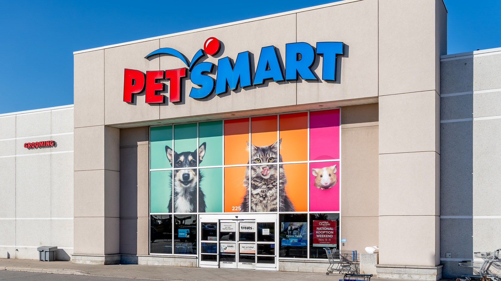 Petsmart store