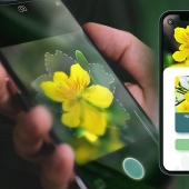 Turn your iPhone into a pocket plant expert for just $15 in this deal