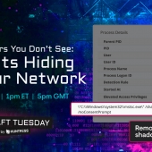 From infostealer to full RAT: dissecting the PureRAT attack chain