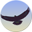 Eagle Mode Logo