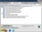 Image of Registry Backup