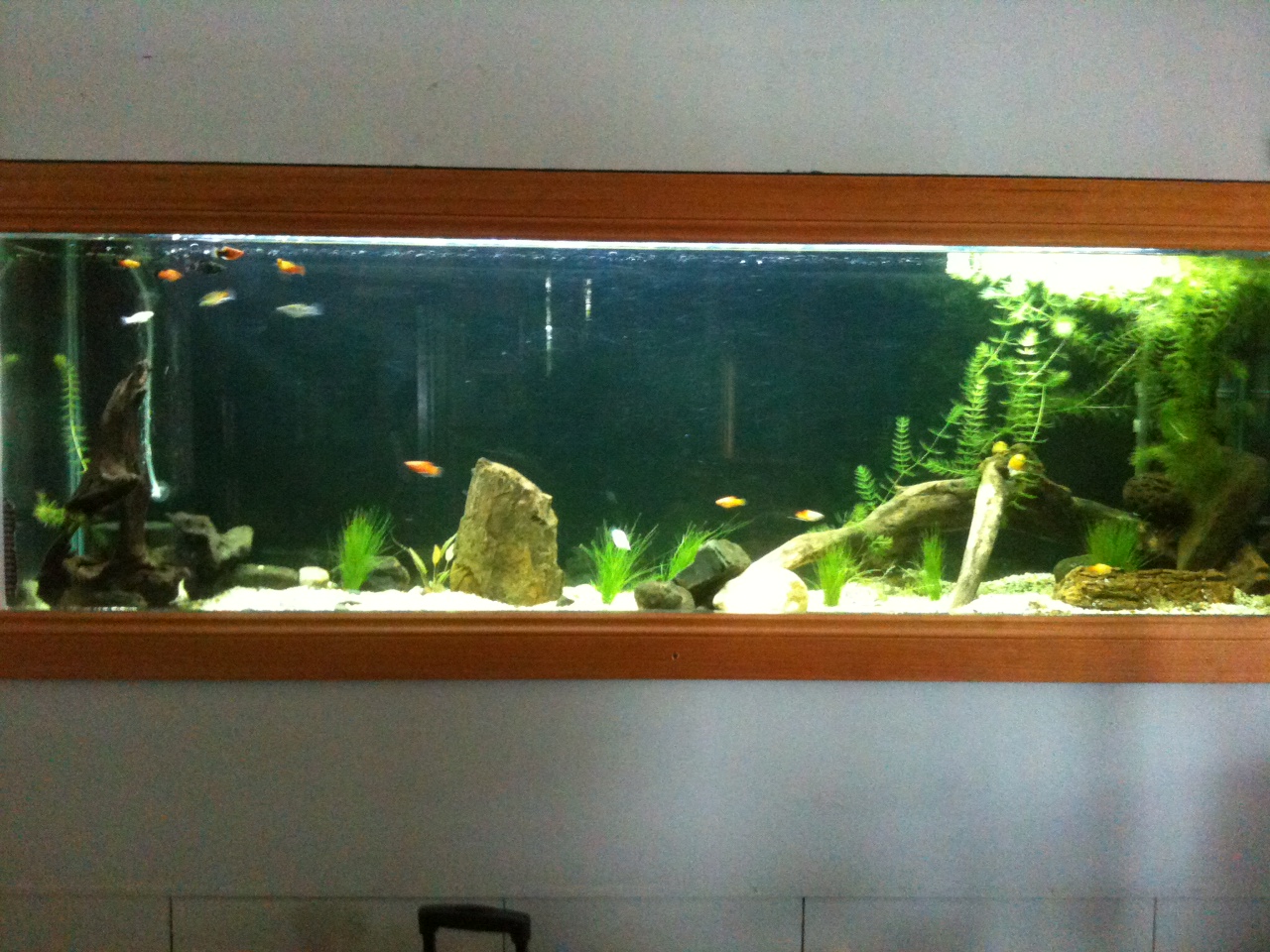 photo%286%29.jpg