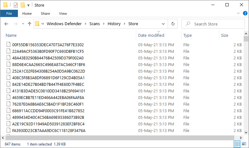 Windows Defender folder filled with small files 