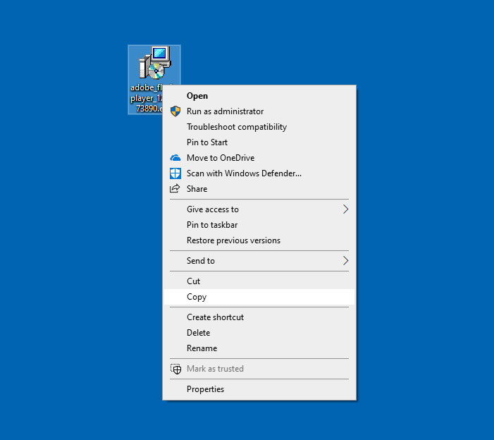 Copy file on the Host