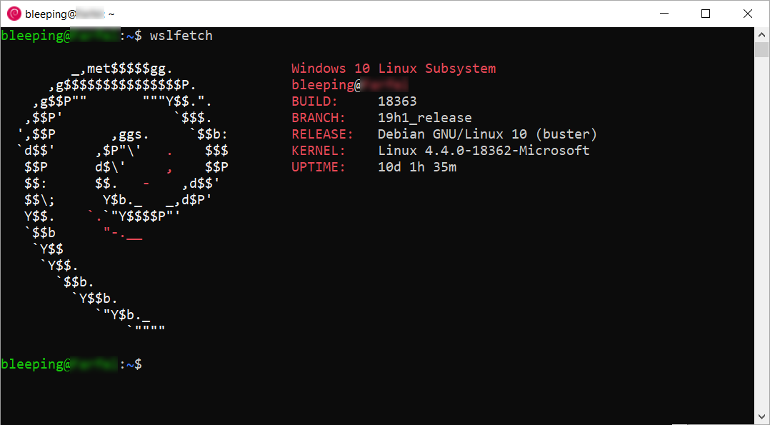 WSLFetch output for Debian 10