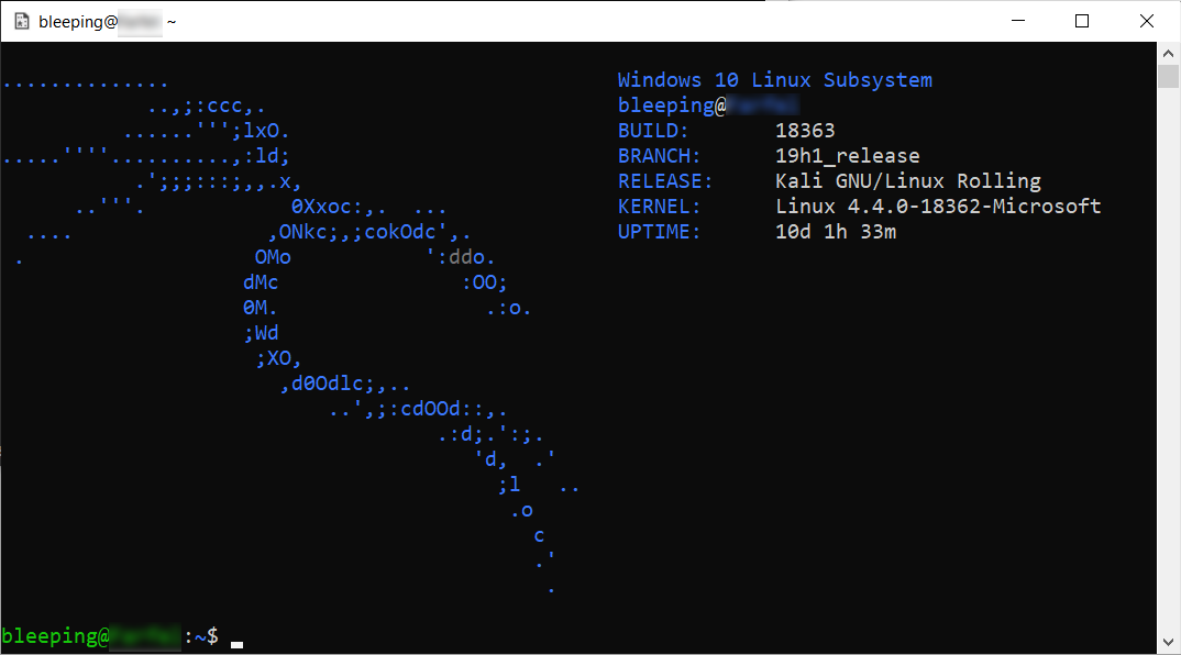 WSLFetch output on Kali Linux