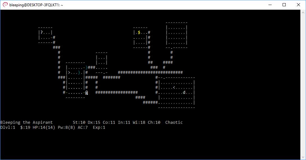 Playing Nethack in Debian for WSL