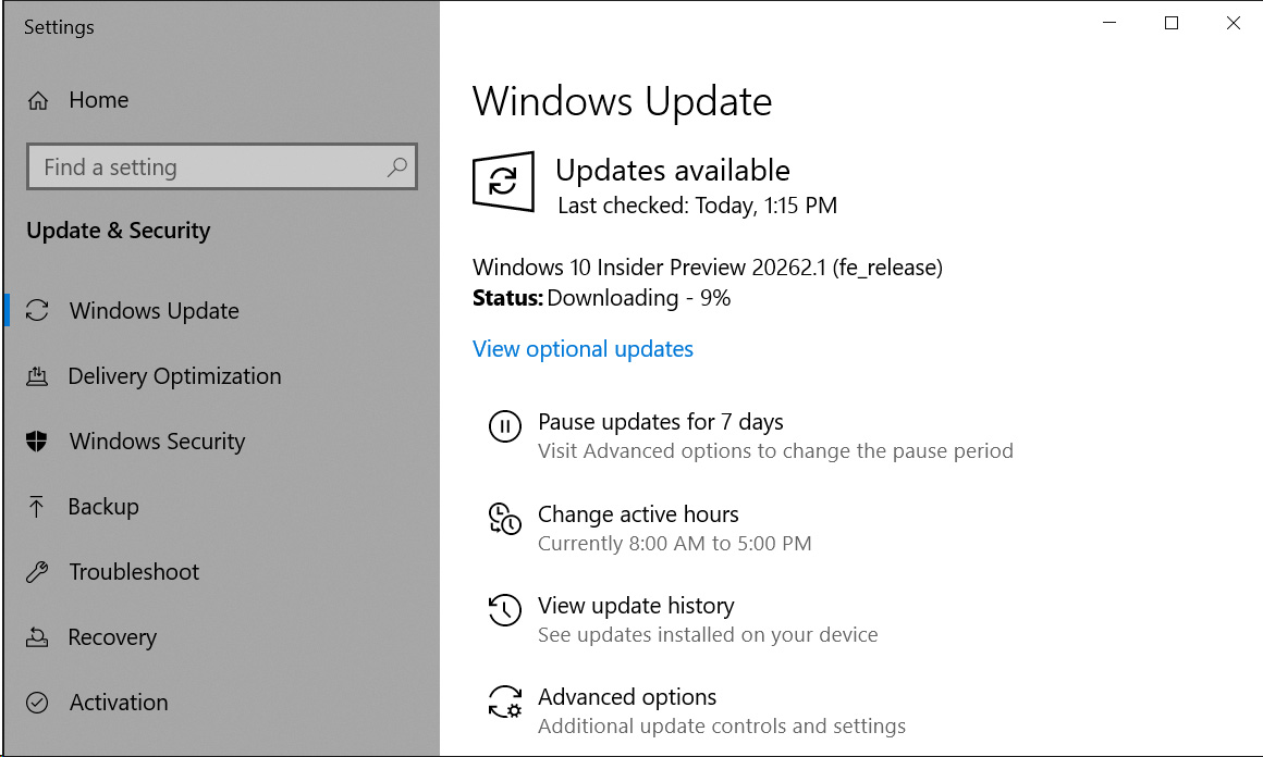Windows 10 build 20262