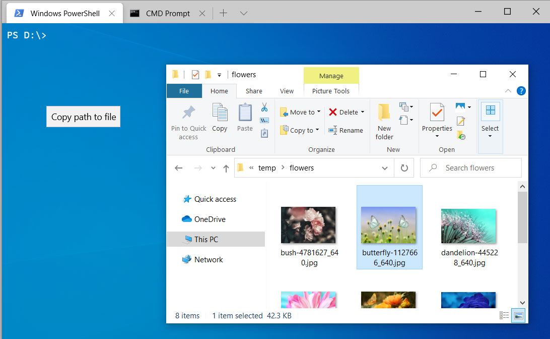 Copy path by dragging file