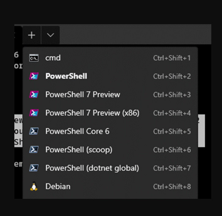 Powershell core. Terminus-v0.9.5.169_Setup.