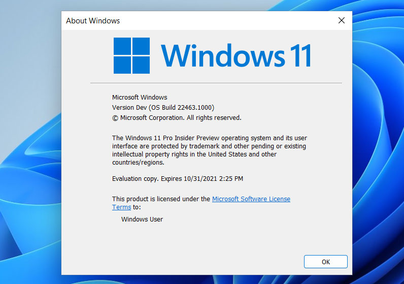 windows-11-setup-requirements-bypassed.j