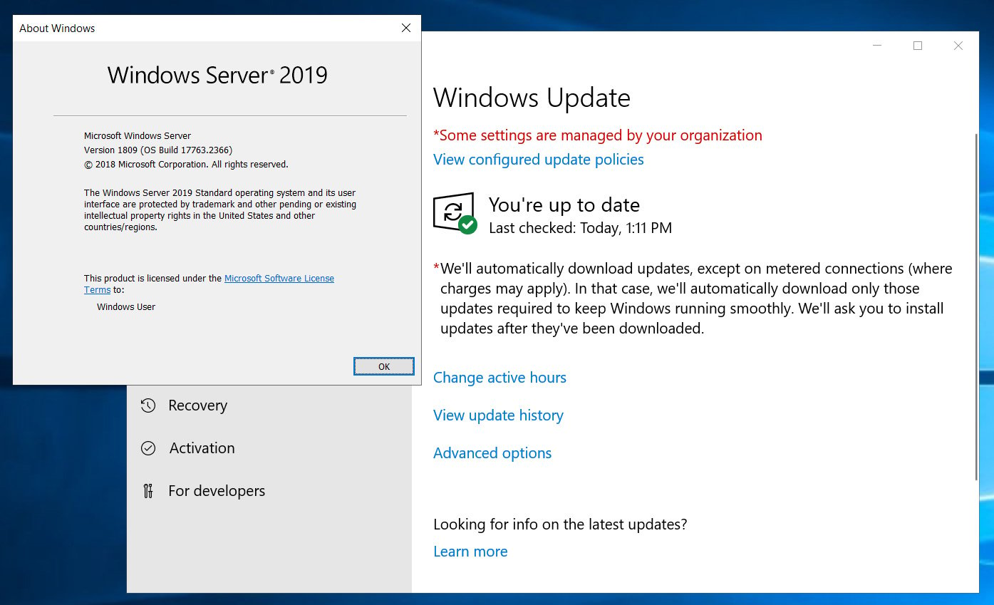 Windows Server 2019 does not offer the January 2022 Update