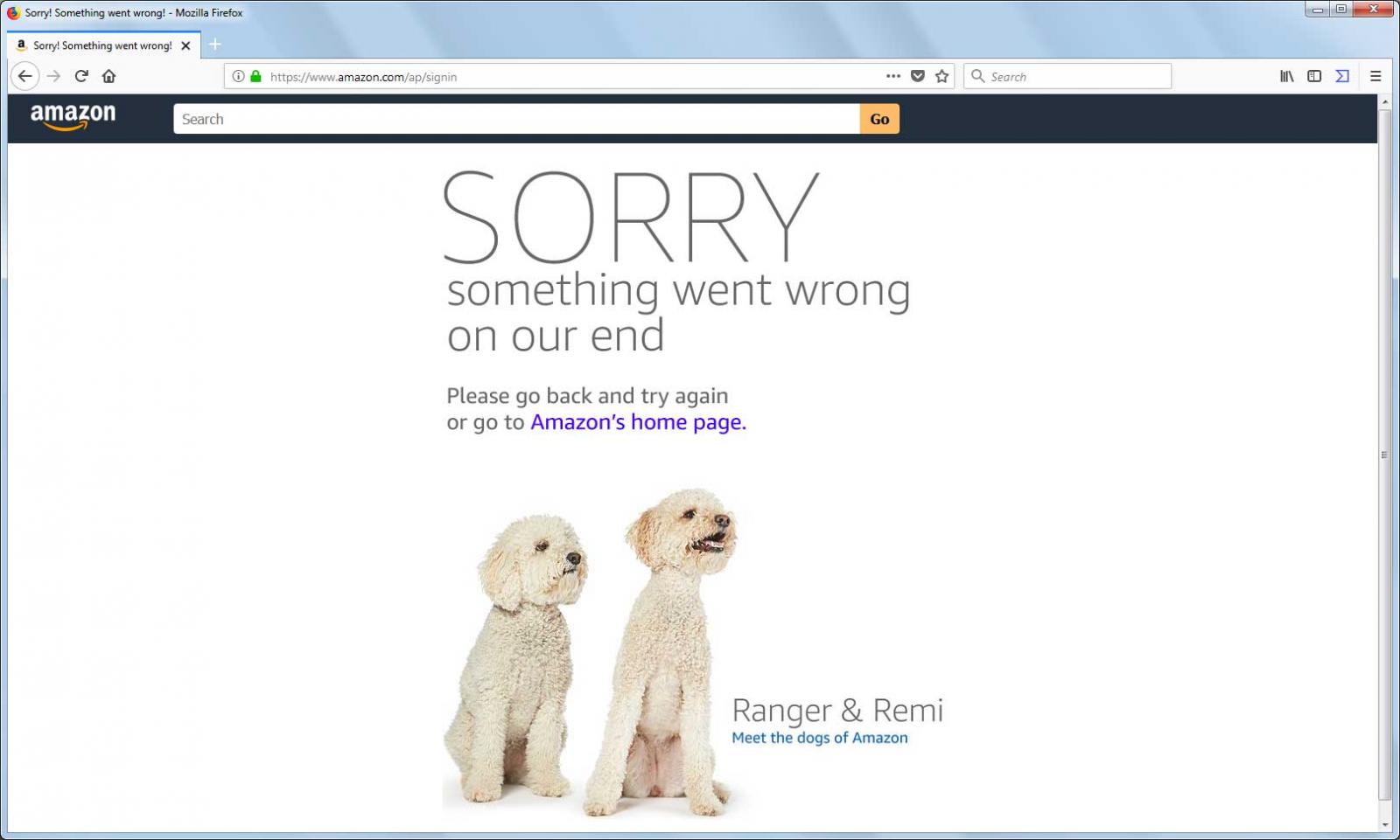 Amazon workers in Europe go on strike during Prime Day