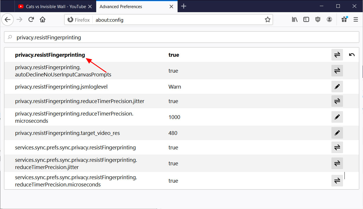 Firefox's resistFingerprinting privacy setting