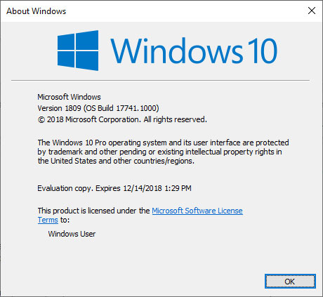 Winver showing Windows 10 Version 1809