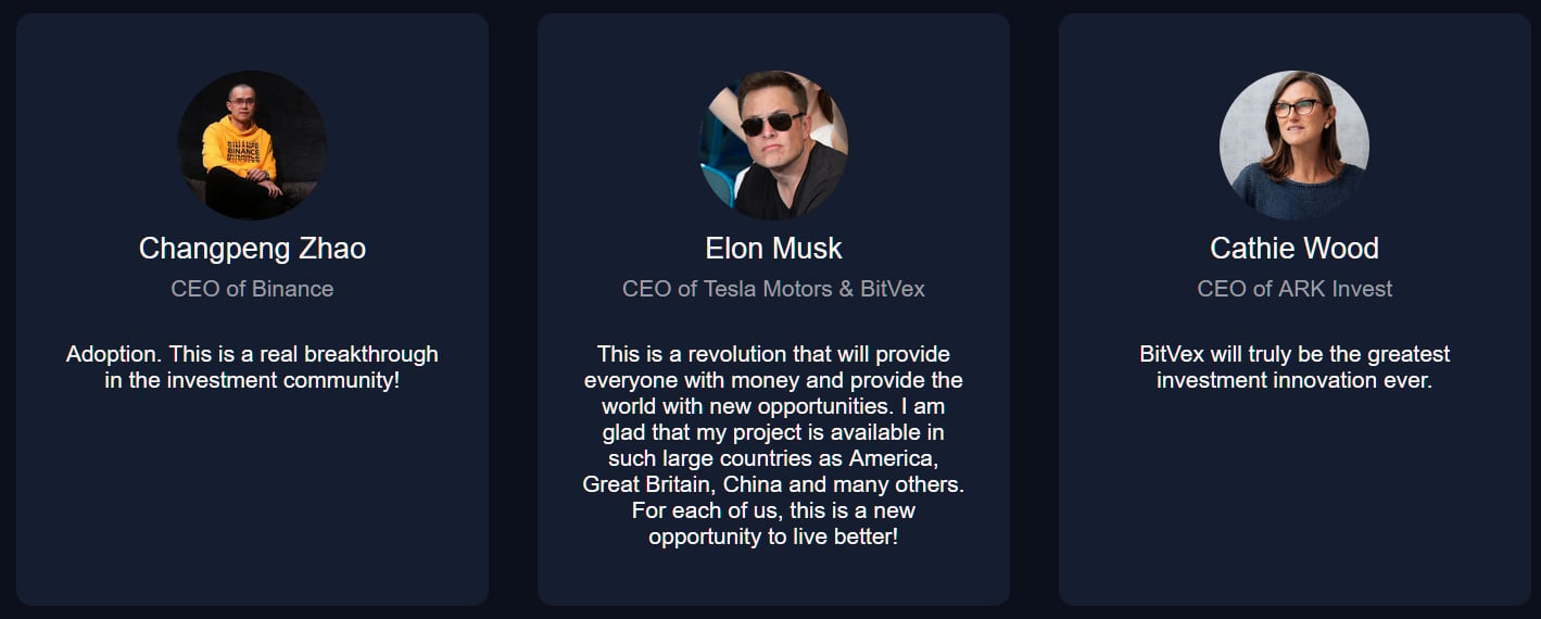 Site claiming that Elon Musk is the CEO