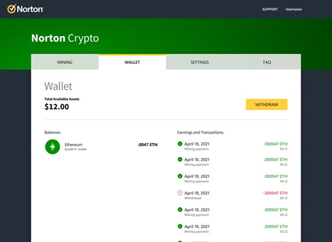 Ethereum payments into the Norton Wallet