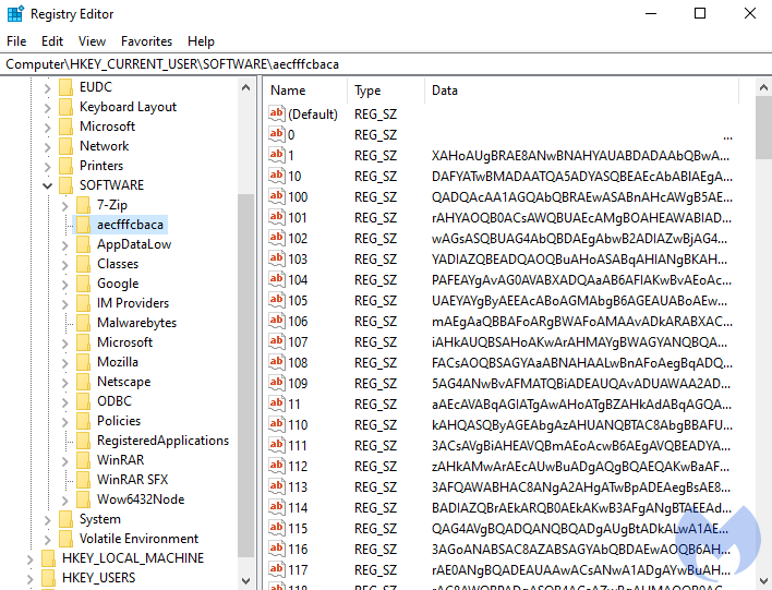 Payload stored in the Windows Registry